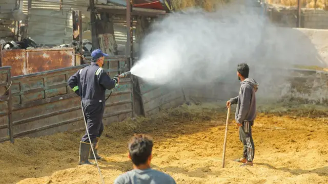 Azərbaycan, səhiyyə, kənd təsərrüfatı, sağlamlıq, heyvandarlıq