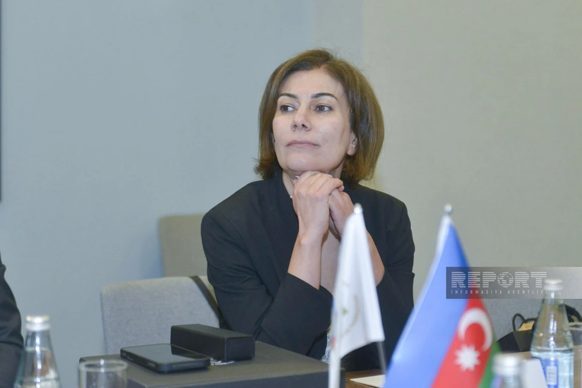 İlahə Qədimova: Türkdilli ölkələrin idman əlaqələrinin inkişafı naminə işlər aparılacaq