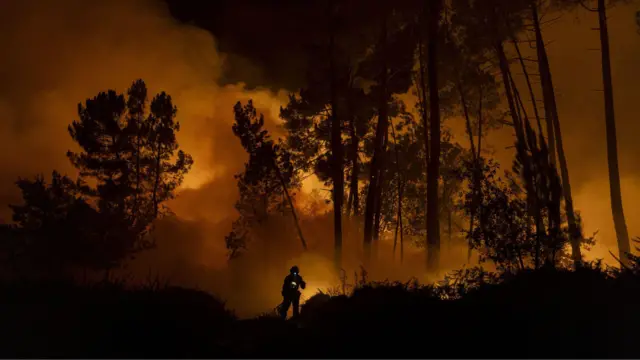 İspaniya meşə yanğını