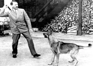 Adolf Hitler telefonda danışarkən