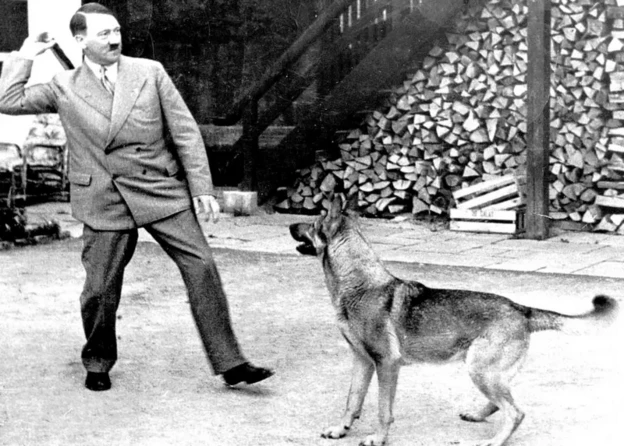 Adolf Hitler 1925-ci ildə nəşr olunan "Mənim mübarizəm" kitabını tanıdan bilbord