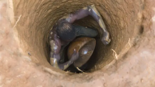 Malinin əyalətlərindən birində qızıl hasilatı