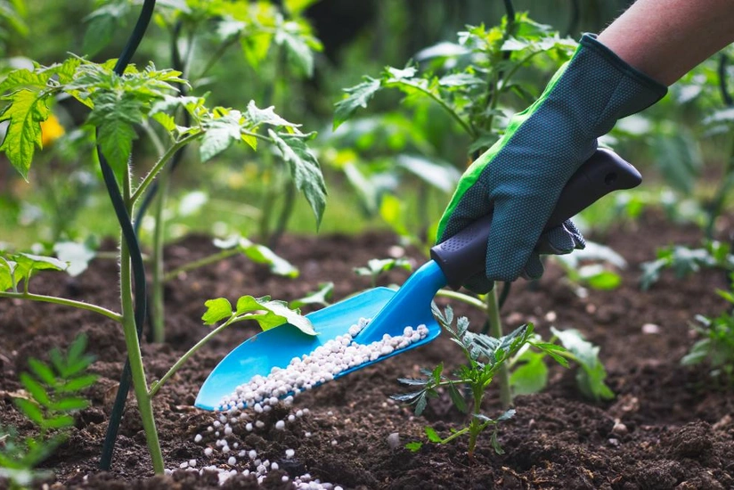 Azərbaycan gübrə ixracından qazancını 45 %-ə yaxın artırıb