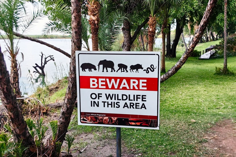 CAR-da ən böyük qoruqdan 600-dən çox insan təcili təxliyə edilib