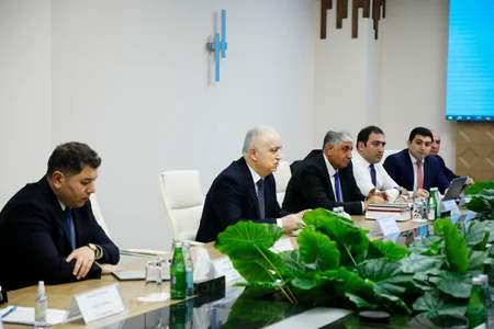 At xəstəliklərindən azad zonaların yaradılması istiqamətində işlərə başlanılıb