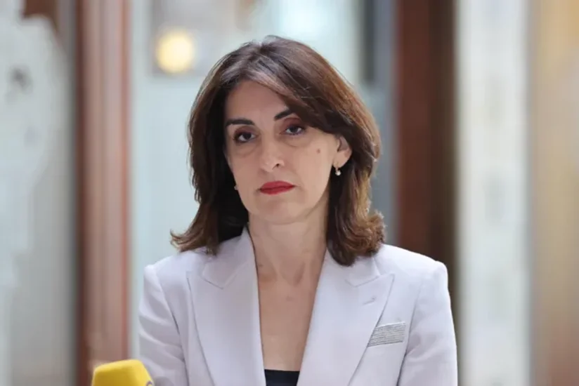 Gürcüstanın xarici işlər naziri: Aİ-nin Tbilisiyə təzyiqi səhvdir