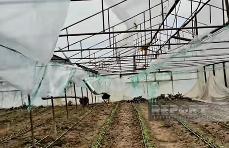 Külək Göygöldə evlərin damını dağıdıb, Şəmkirdə istixanalara ziyan vurub