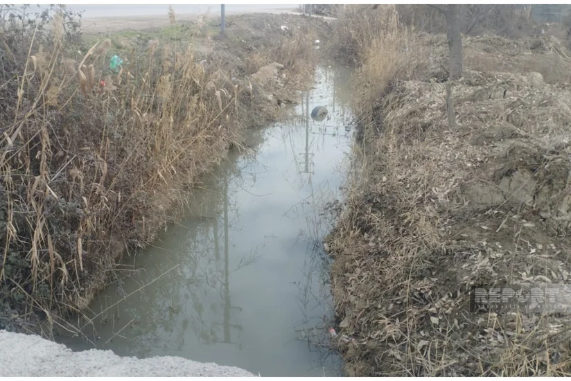 Kürdəmirdə kanalda meyit tapılması ilə bağlı araşdırma aparılır