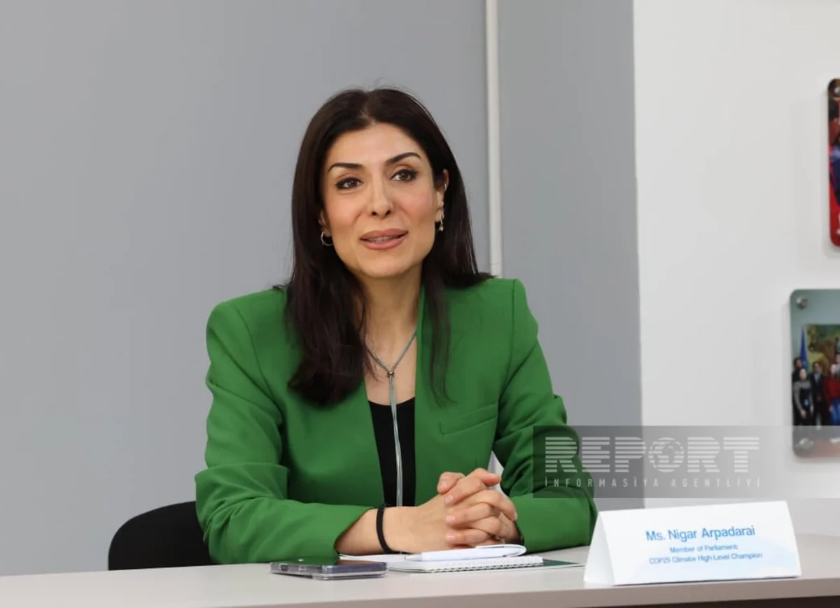 Arpadarai: Gənclər iqlim qərarlarının qəbulunda iştirak etməlidir