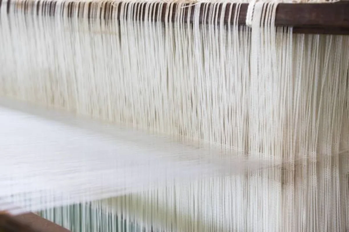 Azərbaycan pambıq ipliyi istehsalını 63 %-dən çox artırıb