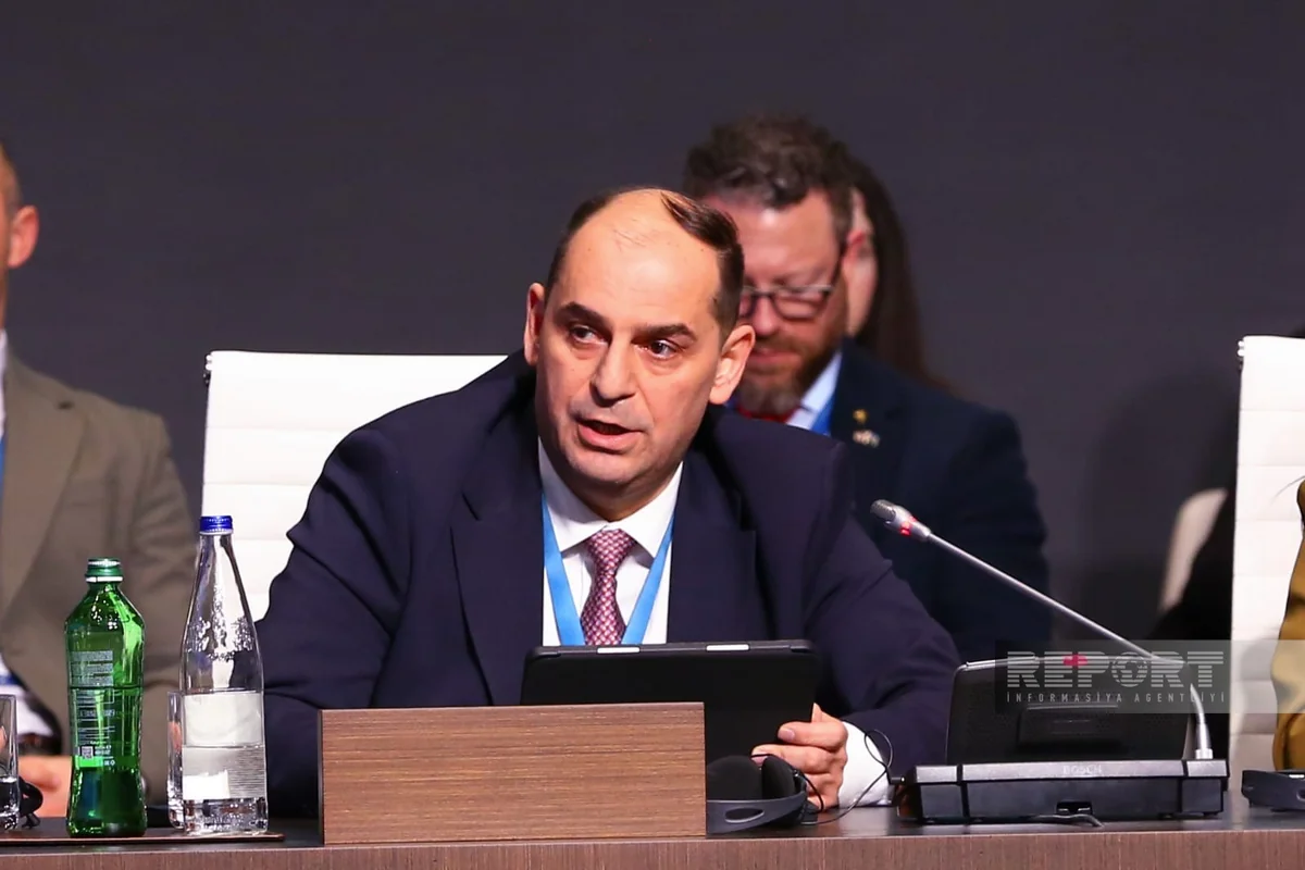 Azərbaycanda bərpa olunan enerji layihələrinin ümumi gücünün 8 qiqavata çatacağı proqnozlaşdırılır