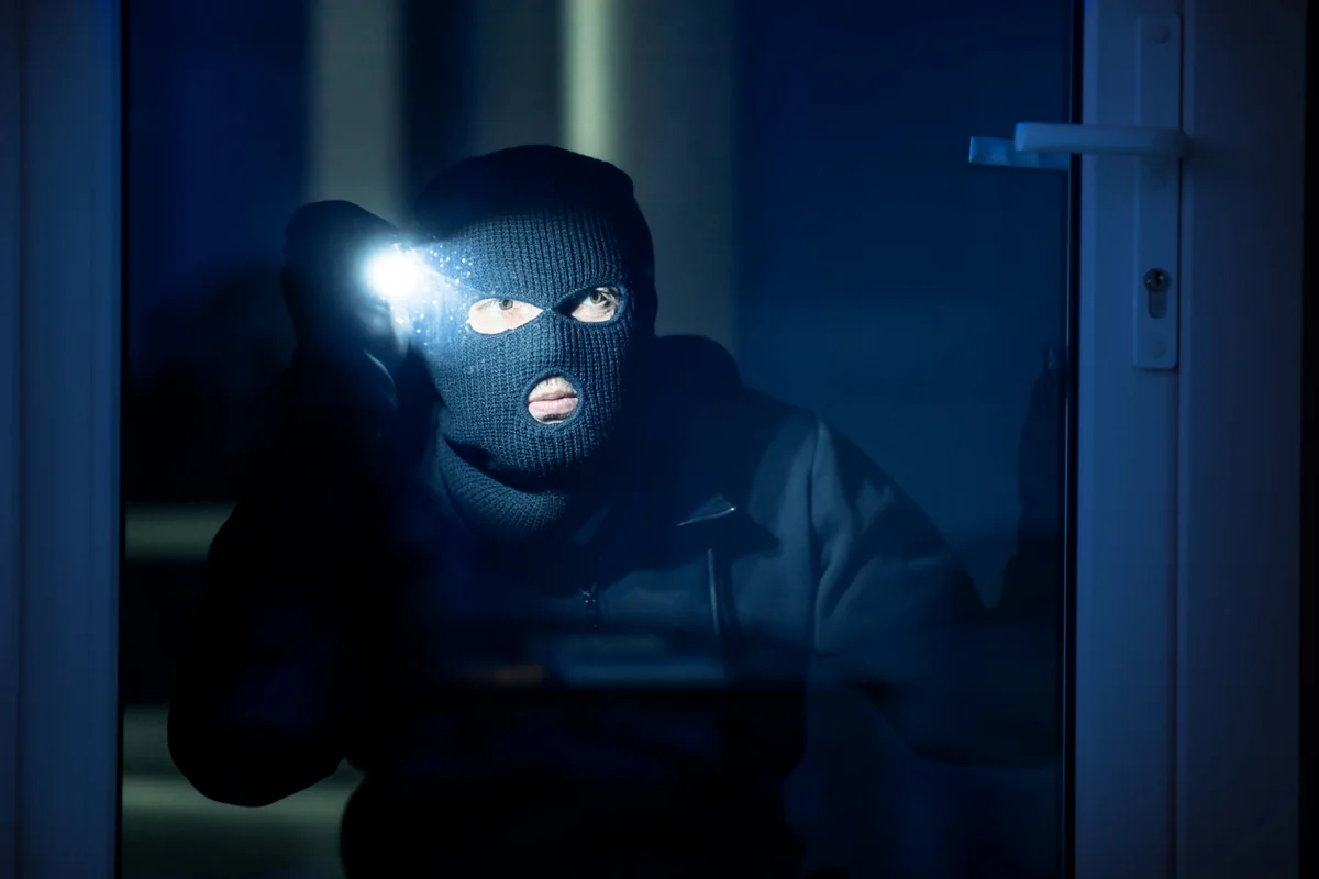 Lənkəranda yaşayış evlərini talayan şəxs saxlanılıb