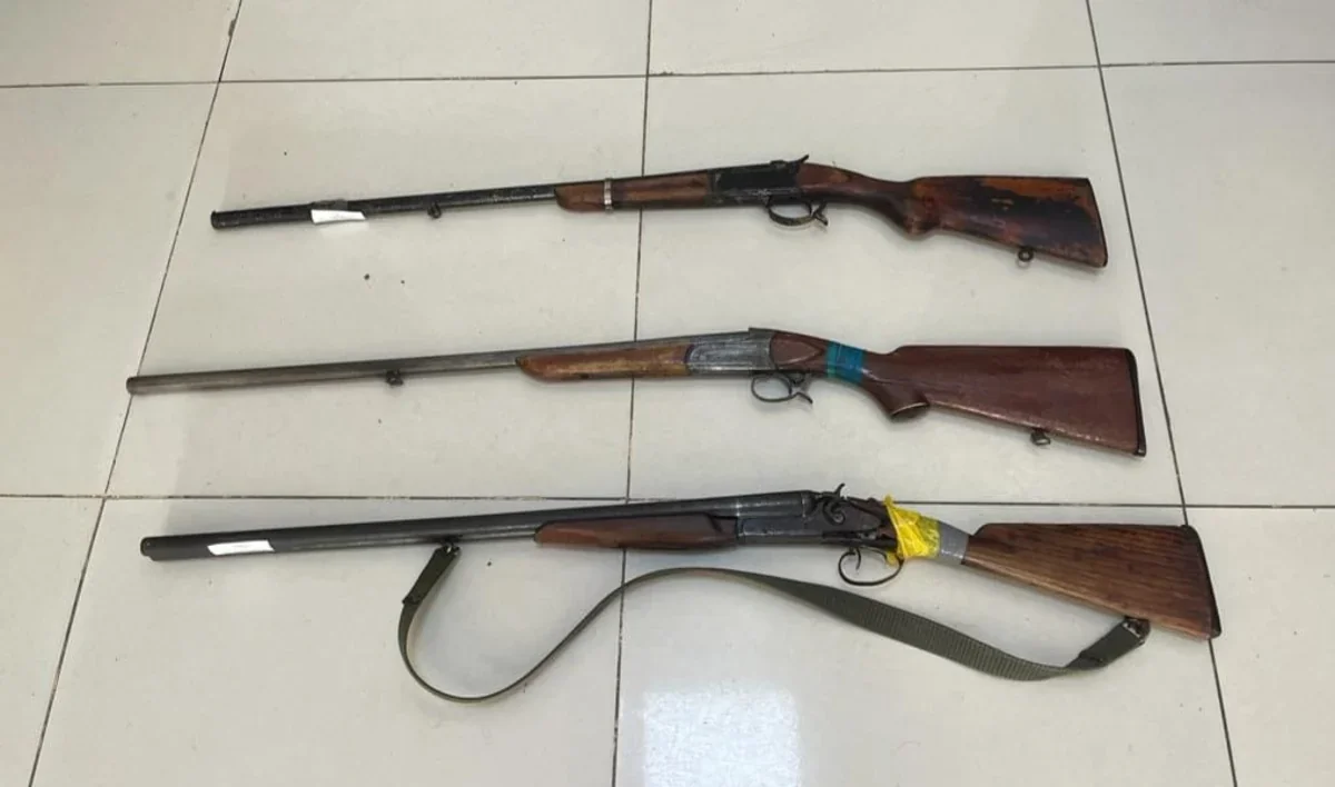 Ötən gün qanunsuz saxlanılan 7 tüfəng aşkarlanıb