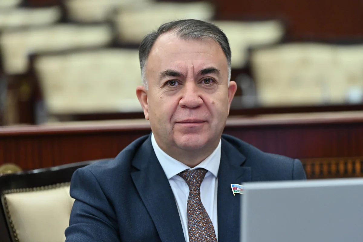 Sadiq Qurbanov: İqlimlə bağlı qanunun qəbuluna ehtiyac var