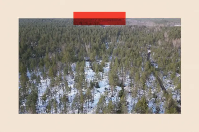 Böyük Avropa düzənliyi - orduların irəliləməsinə mane olan təbii sədlərin az olduğu bir regiondur.